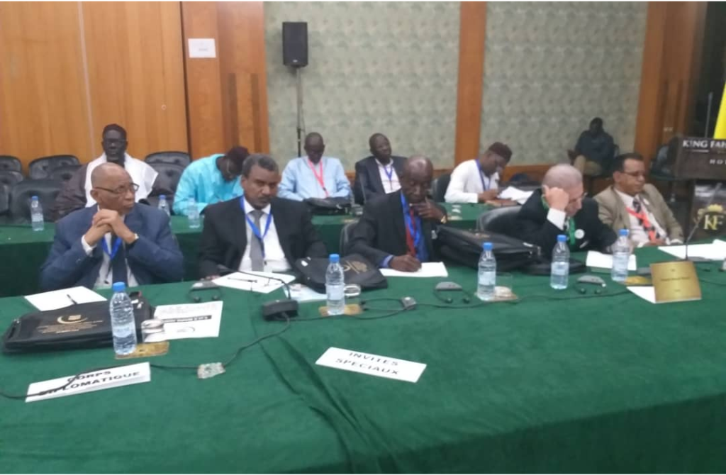 Afrique : la société civile africaine et la culture de la tolérance, la vision de l&rsquo;organisation « ANA » pour renforcer la paix sociale