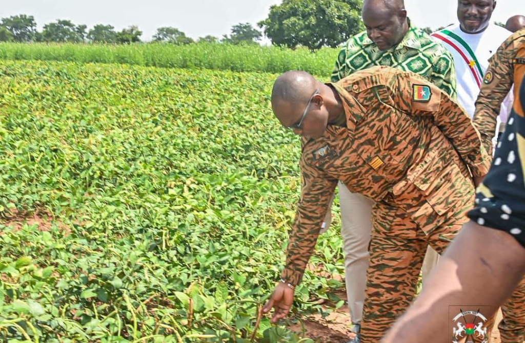Burkina Faso : la ferme « Yere Ta » propulse la souveraineté agropastorale vers de nouveaux sommets